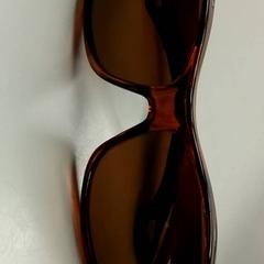 Sunglasses Bruin, as reported by Burgers' Zoo using iLost