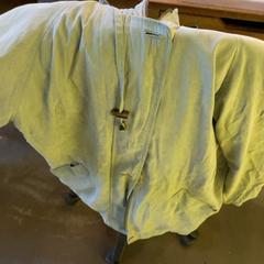 Jacka Green, rapporterat av MEININGER Hotel Berlin East Side Gallary med iLost