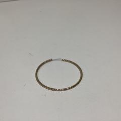 Náušnice - 131225 MUZIEK2, jak nahlášeno Ziggo Dome pomocí iLost