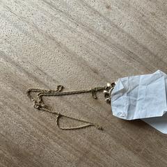 Gouden ketting met hanger, como reportado ao iLost