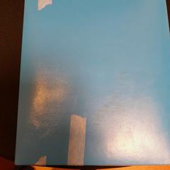 Kuvertväska bleue, rapporterat av TCL med iLost