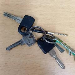 Sleutelbos, zoals gemeld door Qbuzz GD Groningen Peizerweg met iLost