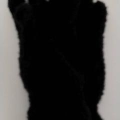 Kleding - handschoenen, ako bolo nahlásené Regio Antwerpen - Brussel pomocou iLost