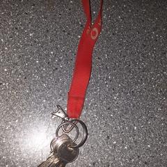 Sleutels met rood Vodafone key koord Alkmaar, iLost에 보고됨