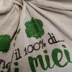 Tas Wit, zoals gemeld door Arriva Friesland / Groningen met iLost