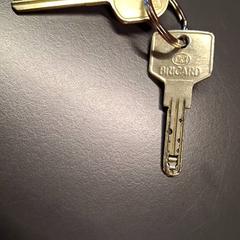 키체인 clefs, iLost를 사용하여 IKEA Nice Saint Isidore에 보고됨