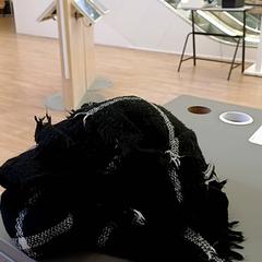 Scarf Noire et rayures blanches, as reported by IKEA Nantes using iLost