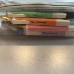 Kartenhalter, gemeldet von Padualaan 101 über iLost