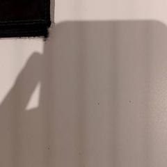 Pénztárca, amint azt De Efteling az iLost segítségével jelentette.