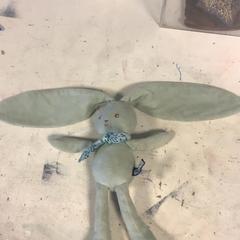 Kosete leke, som rapportert av Artis ved bruk av iLost