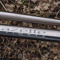 Gazelle fiets, iLost에 보고됨