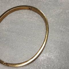 Schmuck Goud, gemeldet von Arriva Friesland / Groningen über iLost