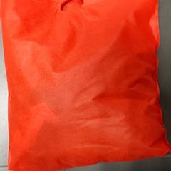 Väska Jutten draagtas, rapporterat av Regio Antwerpen - Brussel med iLost