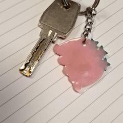 Chiave della bicicletta rose sleutelhanger, come riportato da RRReis IJssel-Vecht Lelystad utilizzando iLost