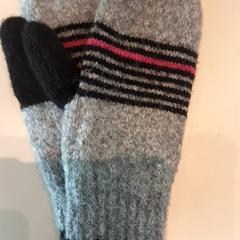 ミトン Wol がiLostで LUMC によって報告されました