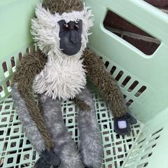 Aap knuffel, as reported to iLost