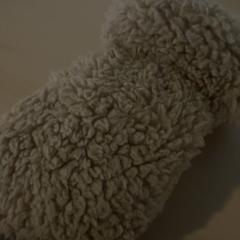 Guants Beige, segons ha informat Jaarbeurs mitjançant iLost