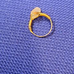 Ring, zgłoszono przez UvA REC przy użyciu iLost