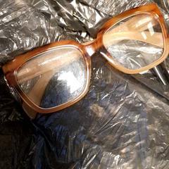 Brille Bruin, gemeldet von Van der Valk Hotel Tiel über iLost