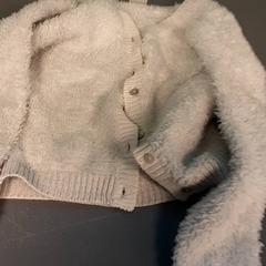 Colete, como reportado por Diergaarde Blijdorp utilizando o iLost