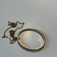 Halsband Gold, rapporterat av Inntel Hotels Amsterdam Landmark med iLost
