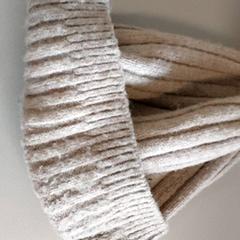 Roba - muts, segons ha informat Regio Antwerpen - Brussel mitjançant iLost