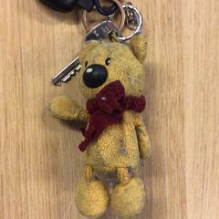 Nøkkel, som rapportert av Canisius-Wilhelmina Ziekenhuis ved bruk av iLost