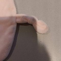 Knuffel, as reported by De Efteling using iLost