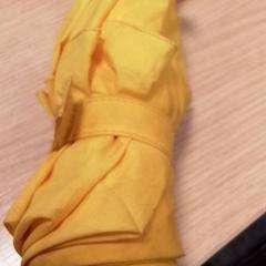 우산 Geel, iLost를 사용하여 Qbuzz Fryslân에 보고됨