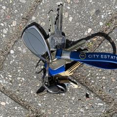 Sleutelbos, jak bylo nahlášeno na iLost