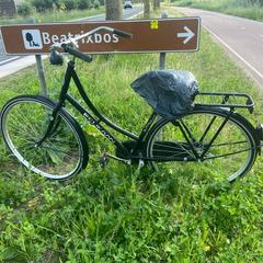 Damesfiets, som rapporterats till iLost