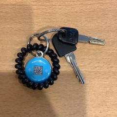 Chiavi, come riportato da Gemeente Amsterdam - Bureau Gevonden Voorwerpen utilizzando iLost