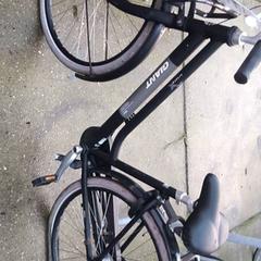 Dámské kolo Giant, jak nahlášeno Stadswerk072 pomocí iLost