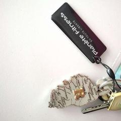 Nøkkel, som rapportert av Twisto ved bruk av iLost