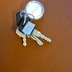 Nøkkel, som rapportert av Breng Trein ved bruk av iLost