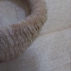 Almohadón Diadema, ha sido reportado por IKEA Valladolid con iLost