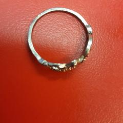 Ring, as reported by UvA REC using iLost