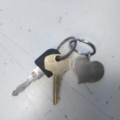 İLost kullanarak Hermes Eindhoven tarafından bildirildiği gibi Sleutelbos