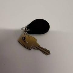 المفاتيح (متنوعة) Avec badge noir، كما تم الإبلاغ عنه بواسطة IKEA Saint-Etienne عبر iLost