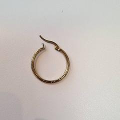 Örhänge, rapporterat av Gemeente Baarn med iLost