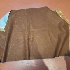 Ima szőnyeg bleu, amint azt TCL az iLost segítségével jelentette.