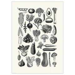 Produit IKEA BILD /, a été signalé par IKEA Arlon utilisant iLost