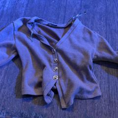 Vestje Beige, rapporterat av De Heeren van Aemstel med iLost