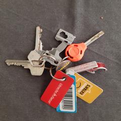 Sleutelbos, iLost에 보고됨