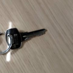 Claus, segons ha informat Centraal magazijn mitjançant iLost