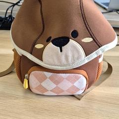 Mochila & Bolsa, ha sido reportado por Regio Antwerpen - Brussel con iLost