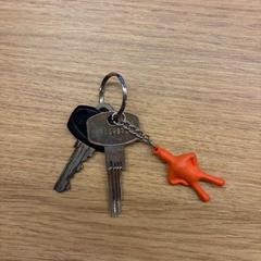 Keys twee sleutels met een oranje mannetje, as reported by Gemeente Oirschot using iLost