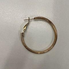 귀걸이 Goudkleurige, iLost를 사용하여 TU/e - Receptie MetaForum에 보고됨