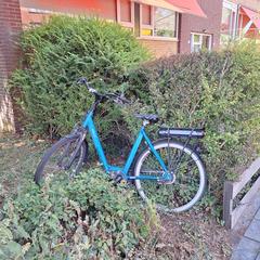 Blauwe Stella fietd, jak bylo nahlášeno na iLost