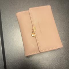 Portefeuilles, a été signalé par ibis Styles Rotterdam Ahoy utilisant iLost